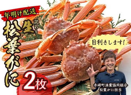 6.（訳あり）松葉ガニ（生なま）2枚【年明け配送】※着日指定不可※北海道、沖縄、一部離島への配送不可《ずわいがに　かに　カニ　蟹》