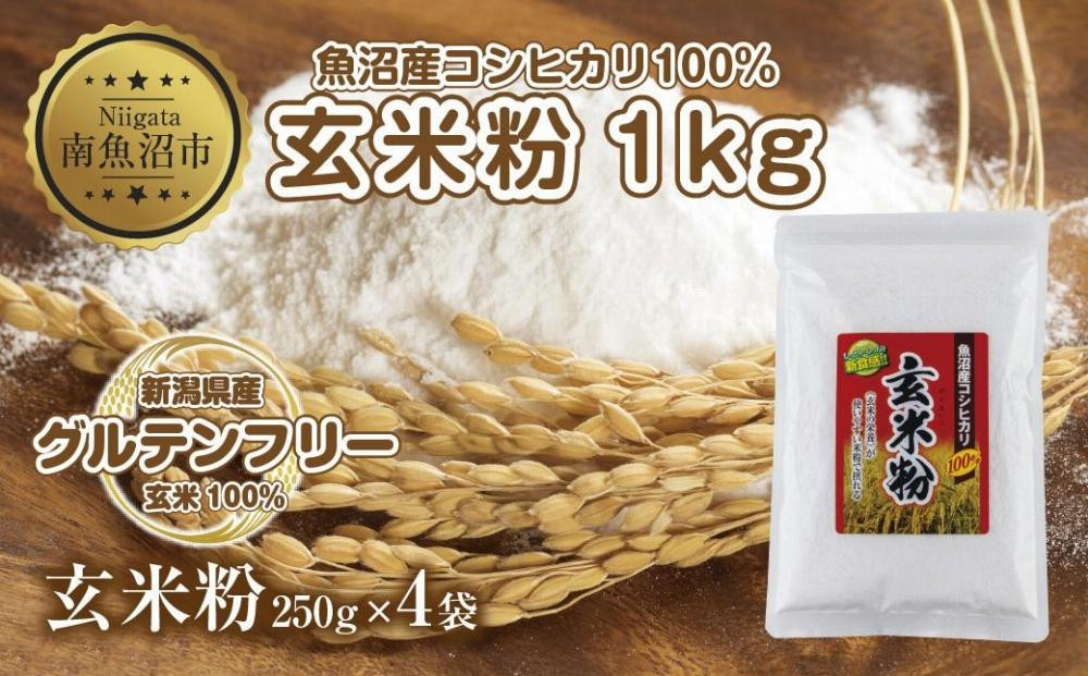 
ES482 玄米粉 250g×4袋 計1kg 魚沼産 コシヒカリ 玄米 白米粉 グルテンフリー 小麦不使用 GABA アレルギー お取り寄せ パン ケーキ 菓子 ギフト 送料無料 コパフーズ 新潟県 南魚沼市
