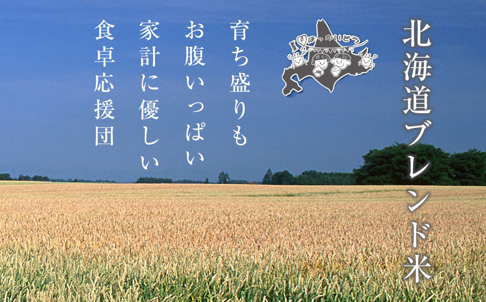 【2026年2月中旬から発送】令和7年産 北海道ブレンド米 (3kg) 【 白米 精米 ご飯 ごはん 米  お米 旭川市ふるさと納税 北海道ふるさと納税 】 _05312