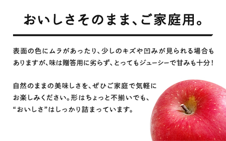 りんご サンふじ 約5kg ご家庭用 りんご