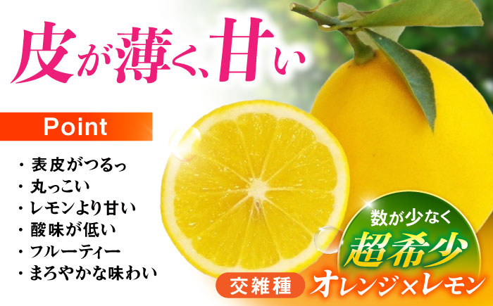 ※【2025年11月発送分／先行予約】マイヤーレモン 5kg / レモン れもん 檸檬 フルーツ / 諫早市 / 山野果樹園 [AHCF004]