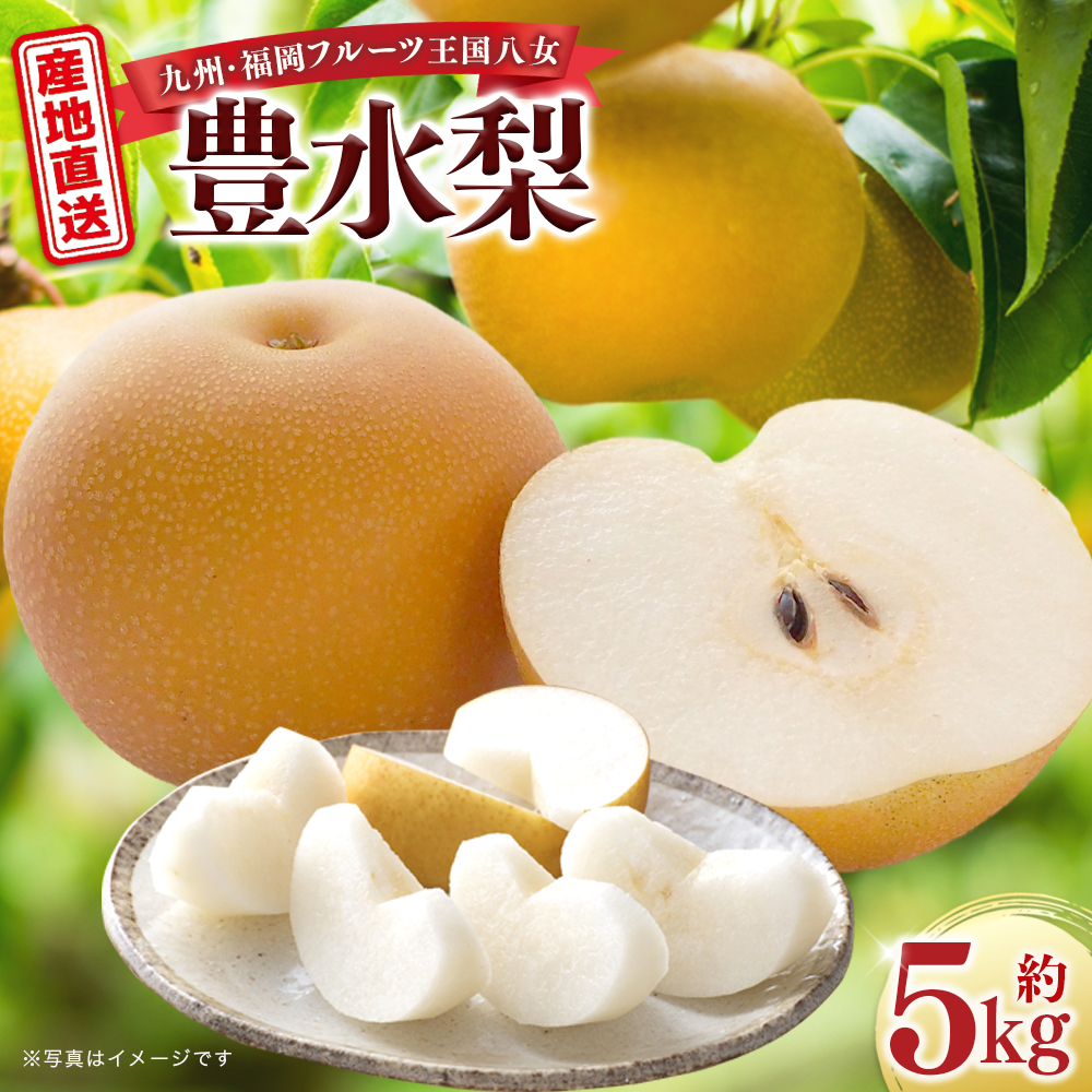 産地直送！ 梨(豊水) 約5kg 【2026年8～9月発送】九州・福岡フルーツ王国八女 ＜配送不可：北海道・沖縄・離島＞  なし ナシ 果物 果実 フルーツ 先行予約 デザート 旬 新鮮 甘い 甘み ジューシー みずみずしい 果汁 国産 季節限定 冷蔵配送 数量限定 秋の味覚