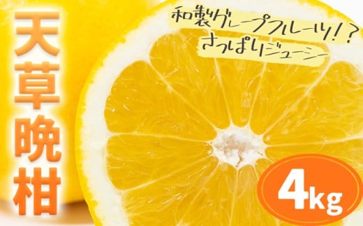 柑橘 天草晩柑 約4kg あまくさ晩柑 晩柑 ばんかん 天草 西海岸 苓北 都呂々 南国 潮風 国産 九州 熊本 果物 フルーツ 送料無料《2026年3月上旬-5月下旬頃出荷予定》