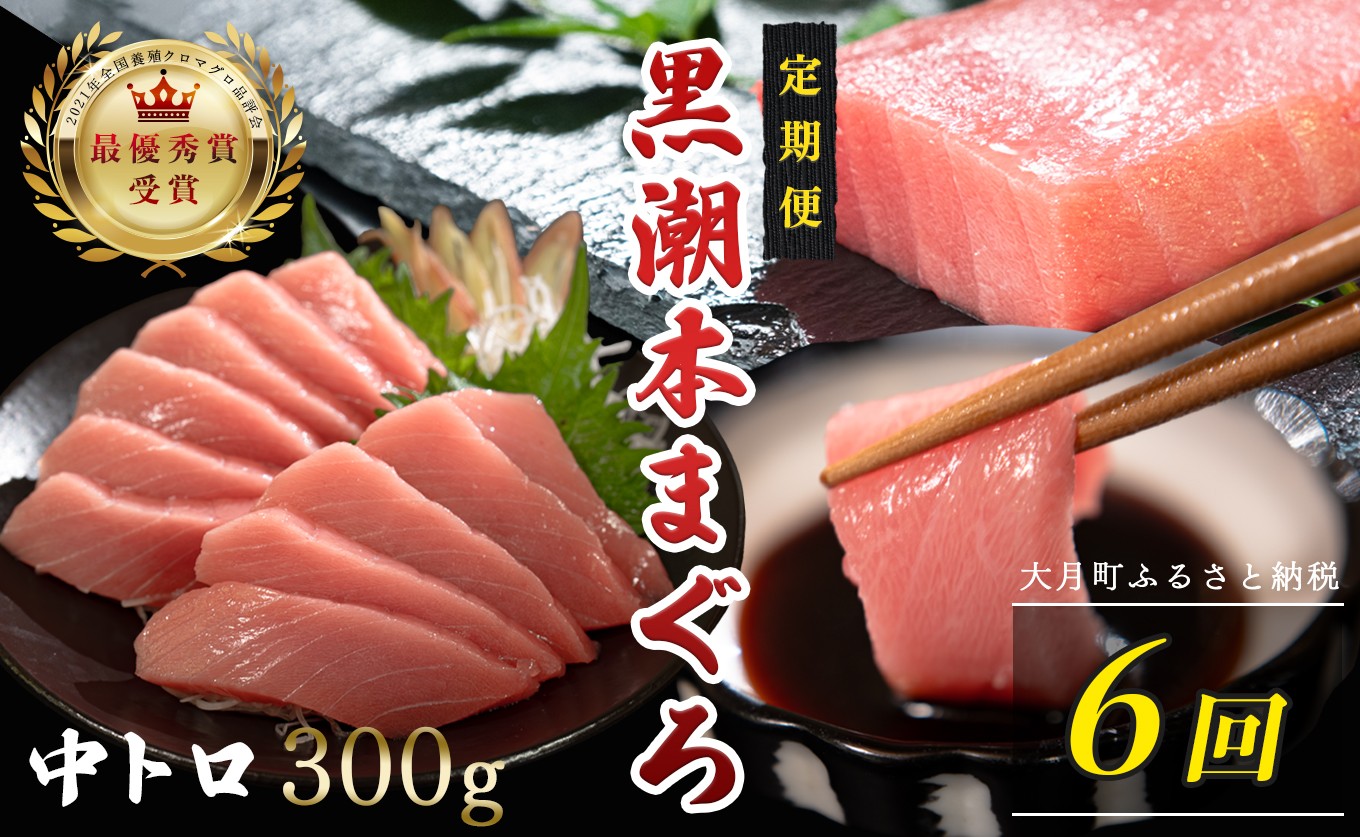 
                  訳あり 不定貫 定期便6回 日本一!黒潮本まぐろ 中トロ
                