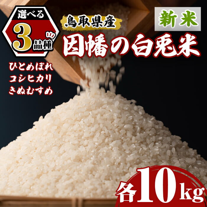 【ふるさと納税】＜先行予約受付中！2025年9月中旬～2026年8月下旬発送予定＞＜数量限定＞＜品種が選べる＞【因幡の白兎米】令和7年産新米ひとめぼれ・コシヒカリ・きぬむすめ10kg(5kg×2袋) 鳥取県産 お米 おにぎり ごはん お弁当 常温 【sm-DD068】【Workplays】