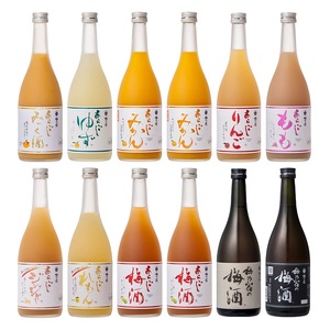 あらごしシリーズと梅酒720ｍl 12本 セット ／ 梅乃宿酒造 お酒 リキュール ギフト 人気 メーカー直送 みっく酒 ゆず みかん れもん もも りんご ジンジャー 奈良県 葛城市