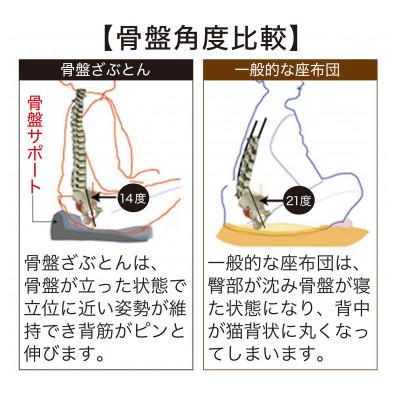 ふるさと納税 東大阪市 【人間工学/正しい姿勢・骨盤サポート】　骨盤ざぶとん　カラー:ネイビー |  | 03