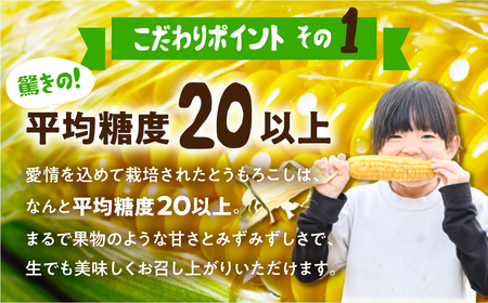 《期間限定》先行予約 平均糖度20度以上 極甘とうもろこし 10本 鮮度保持袋入り