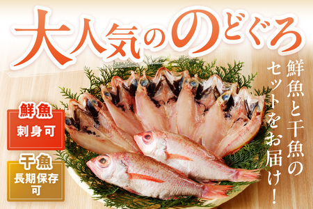 のどぐろの鮮魚と干魚のコラボセット 魚介類 魚介 魚 のどぐろ 干物 鮮魚 一夜干し お刺身 セット 【096_1696】