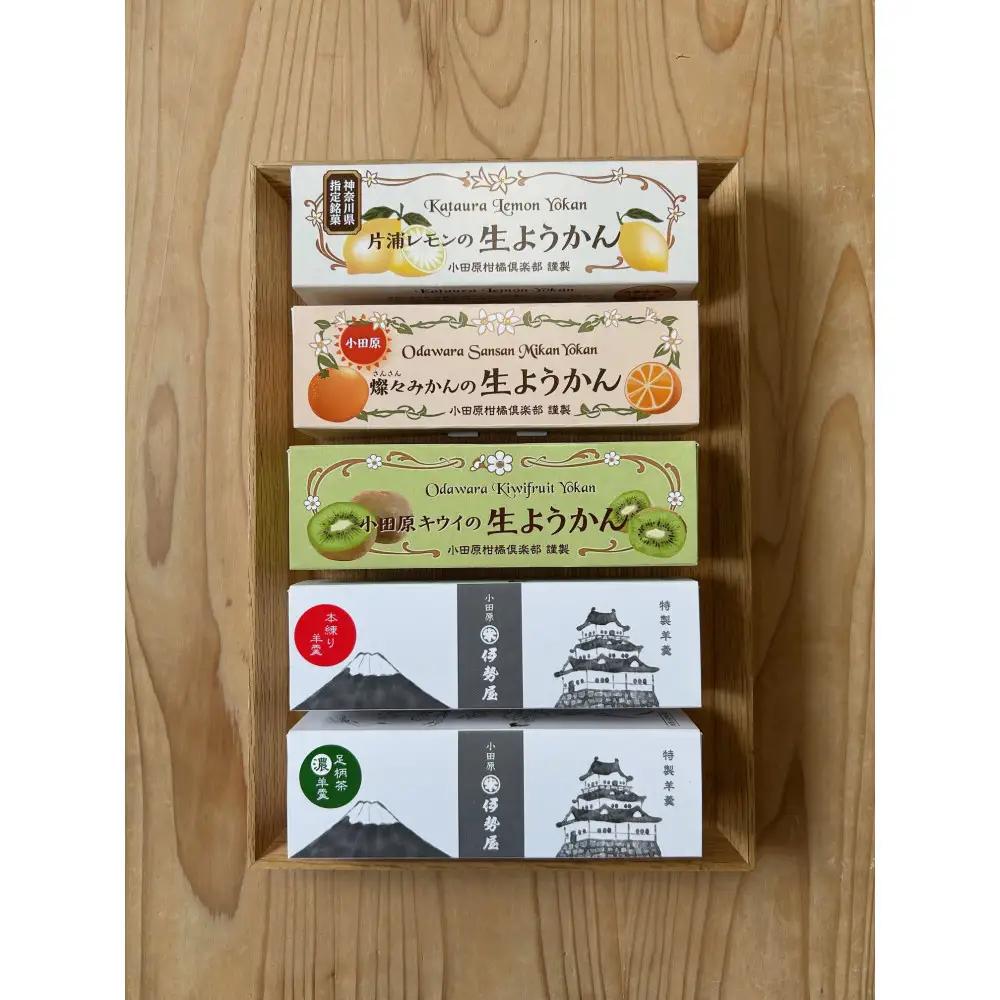 小田原老舗和菓子店の手づくりようかん5本セット【和菓子店　手づくりようかん5本セット レモンようかん　フルーツようかん 足柄茶ようかん 本練ようかん キウイようかん 梅ようかん 神奈川県指定銘菓 神奈川県 小田原市 ようかん ようかん】