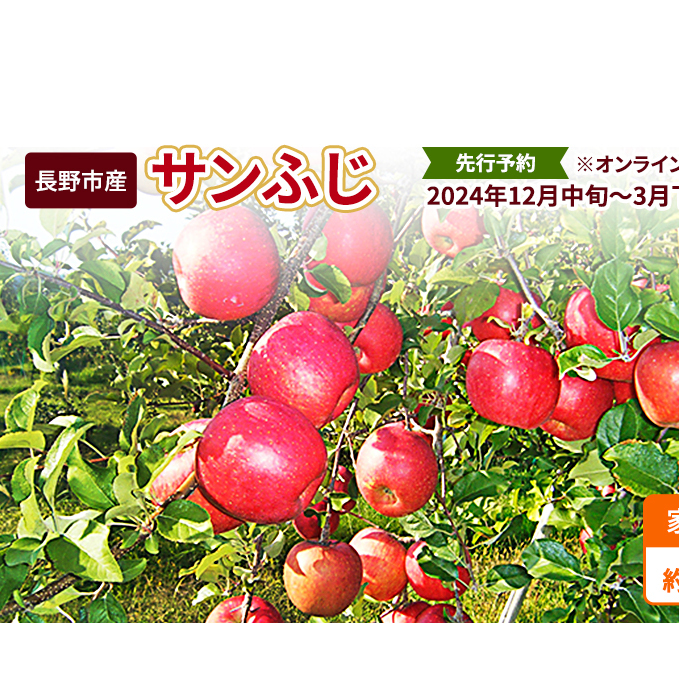 先行予約 長野市産サンふじ家庭用 約5kg 2024年12月～3月発送 ※オンライン決済限定