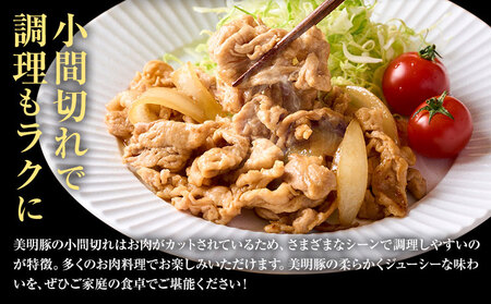 美明豚 小間切れ 500g × 10パック 計5kg (茨城県共通返礼品：茨城県産) ワークミート《30日以内に出荷予定(土日祝除く)》茨城県 河内町 SPF豚 びめいとん 部位 豚 こま切れ 豚肉 