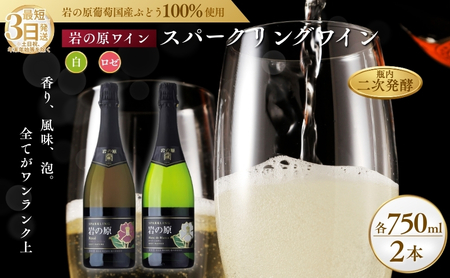 ワイン 岩の原スパークリングワイン 白 ロゼ 瓶内二次発酵 2本セット （白×1本、ロゼ×1本 各750ml） お酒 岩の原 酒 新潟 上越 最短3日で発送