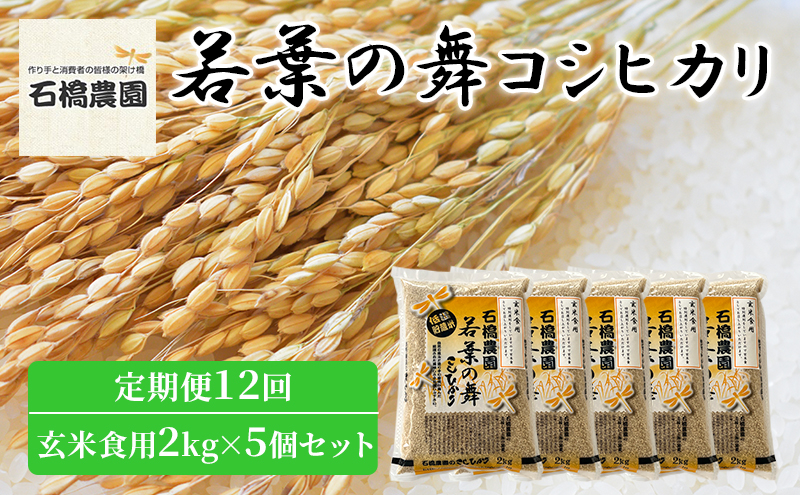 
米 若葉の舞 コシヒカリ 玄米食用2Kg×5個セット 定期便12回 こしひかり セット 定期便 お米 玄米 千葉 千葉県 低温保存 [№5346-0888]
