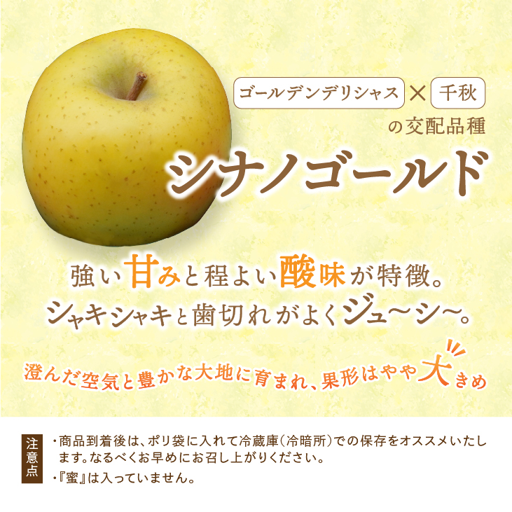 奥州市産りんご 赤い誘惑「サンふじ&シナノゴールド」約2.5kg 8-10玉 [AQ083]