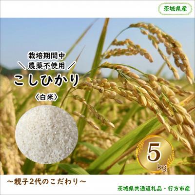 ふるさと納税 行方市 令和8年産新米【栽培期間農薬不使用】こしひかり白米5kg