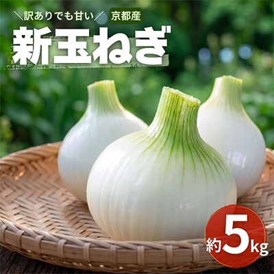 
                  ＜訳アリ＞たまねぎ 5kg　京都府久御山町産【1621127】
                