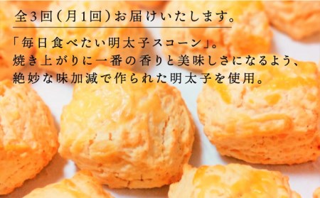 【全3回定期便】明太 チーズ スコーン 12個 セット   糸島市 / スコーン専門店キナフク 焼き菓子 焼菓子 洋菓子 スイーツ 明太子 パン [AFA021]
