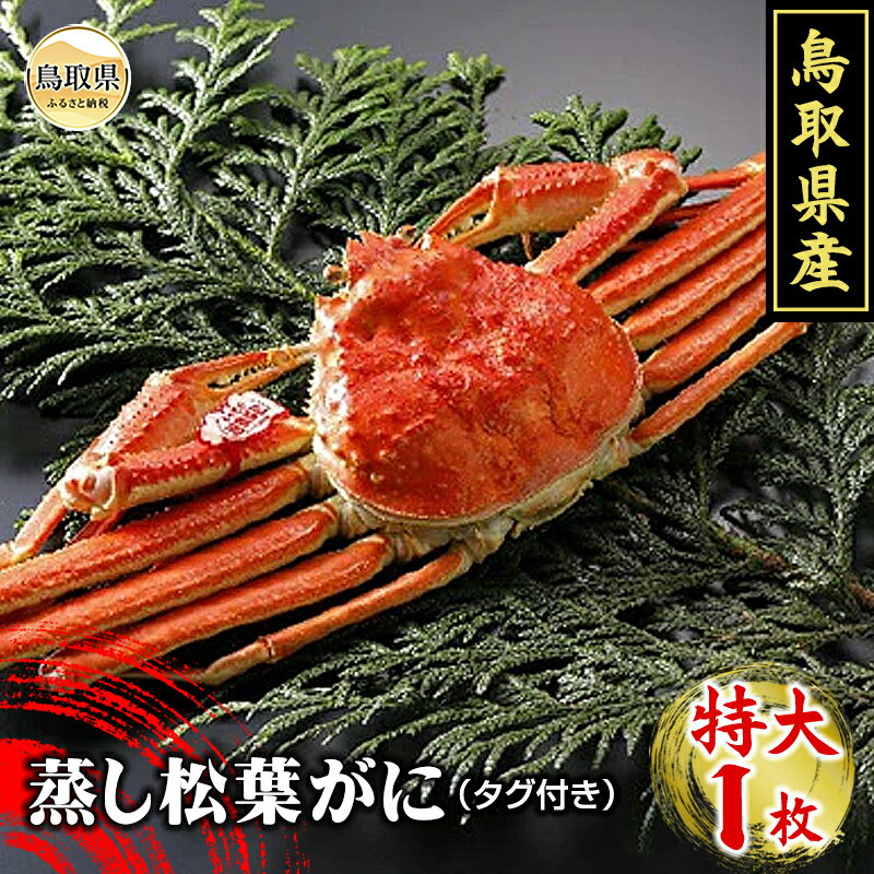 【ふるさと納税】F24-019 鳥取県産　蒸し松葉がに（タグ付き）特大1枚【期間限定】
