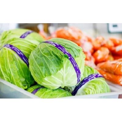 ふるさと納税 岩手町 【毎月定期便】岩手町産の旬野菜セット(5品以上)全3回 |  | 01