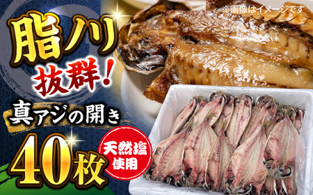 漁師町佐島 真アジの開き 40枚セット 干物 横須賀 【石川水産】 [AKCX001]