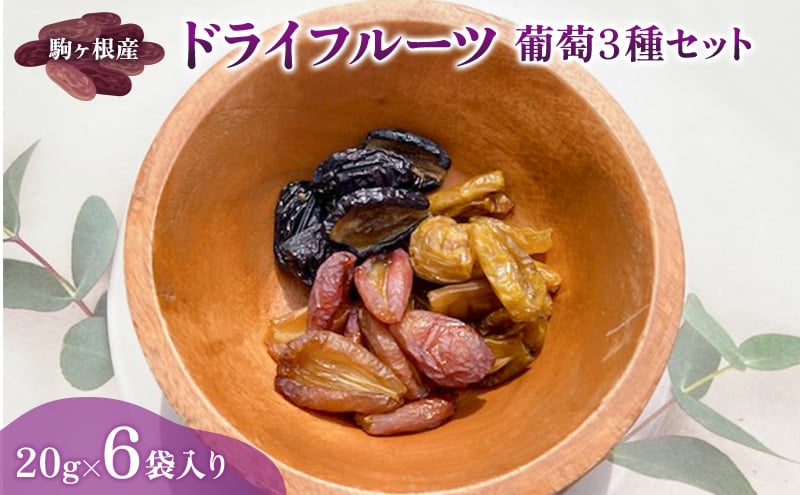 
            駒ヶ根産　ドライフルーツ　葡萄3種セット ブドウ ぶどう 葡萄 果物 ドライフルーツ 駒ヶ根市[№5659-1643]
          