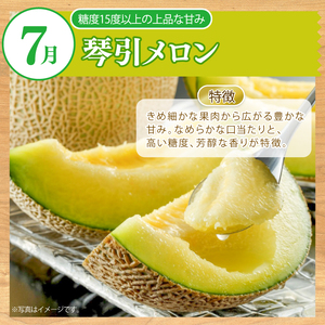 【先行予約】2026年産 全3回 フルーツの定期便 琴引メロン 二十世紀梨 ぶどう2種食べ比べ フルーツ