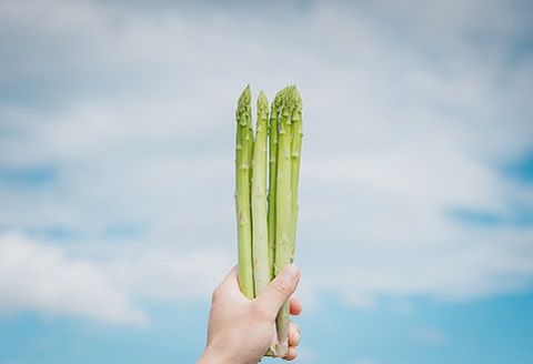 たけだファーム産地直送グリーンアスパラガス 2Lサイズ1kg：B018-062