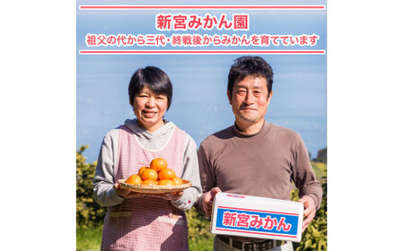 新宮みかん園の不知火 L～3Lサイズ 約3㎏ 【2026年4月上旬～6月上旬発送予定】 みかん ミカン 蜜柑 不知火みかん しらぬい デコポン でこぽん 温州みかん 完熟みかん 国産 佐賀県産 太良町