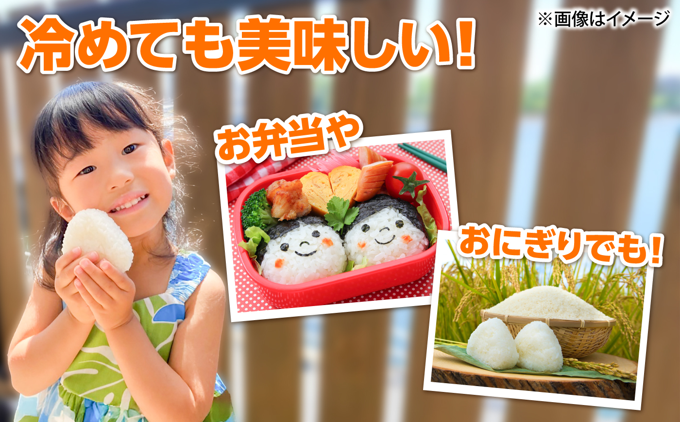 【ふるさと納税限定】わんぱくセット＜A＞しまね和牛サイコロステーキ（200g×2パック）・吉田げんき米コシヒカリ（令和7年産×2kg）セット コラボ 牛肉 米 島根県雲南市/雲南市ふるさと納税 [AI