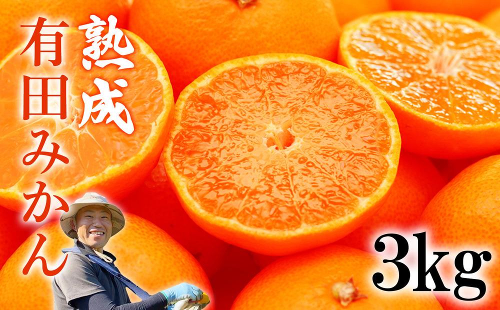 熟成　有田みかん 3kg（約30個）