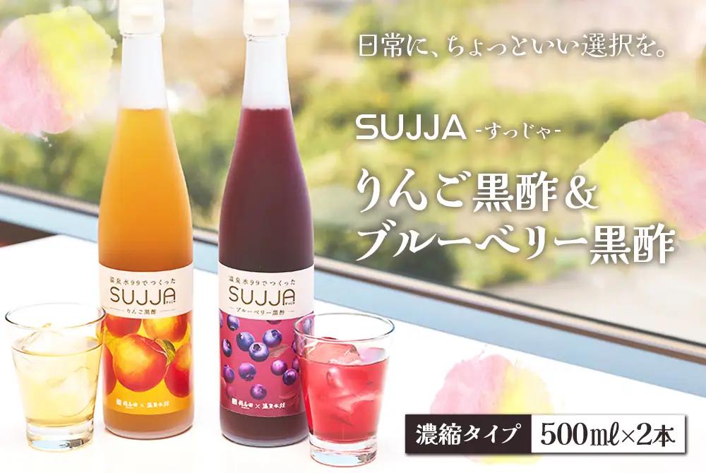 B2-0866／SUJJA りんご黒酢＆ブルーベリー黒酢 2本セット