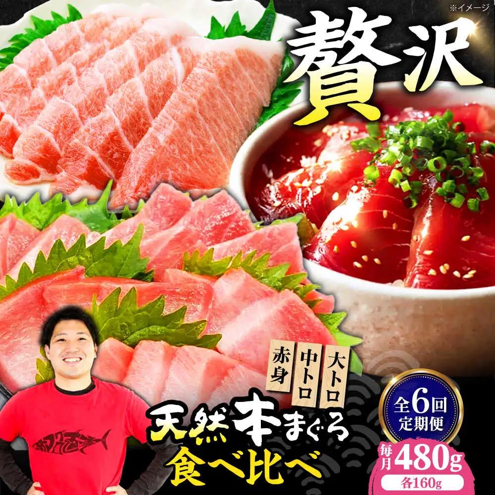 【全6回定期便】たね熟天然本まぐろ赤身＆中トロ＆大トロセット(各160g 計480g)[AOCE044]マグロ