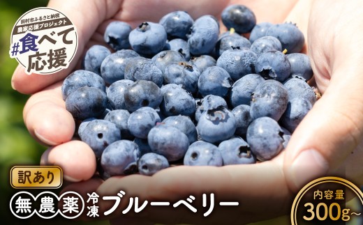 訳あり 冷凍ブルーベリー 300g (150g×2袋) 福島県 田村市 いずみの森ブルーベリー園