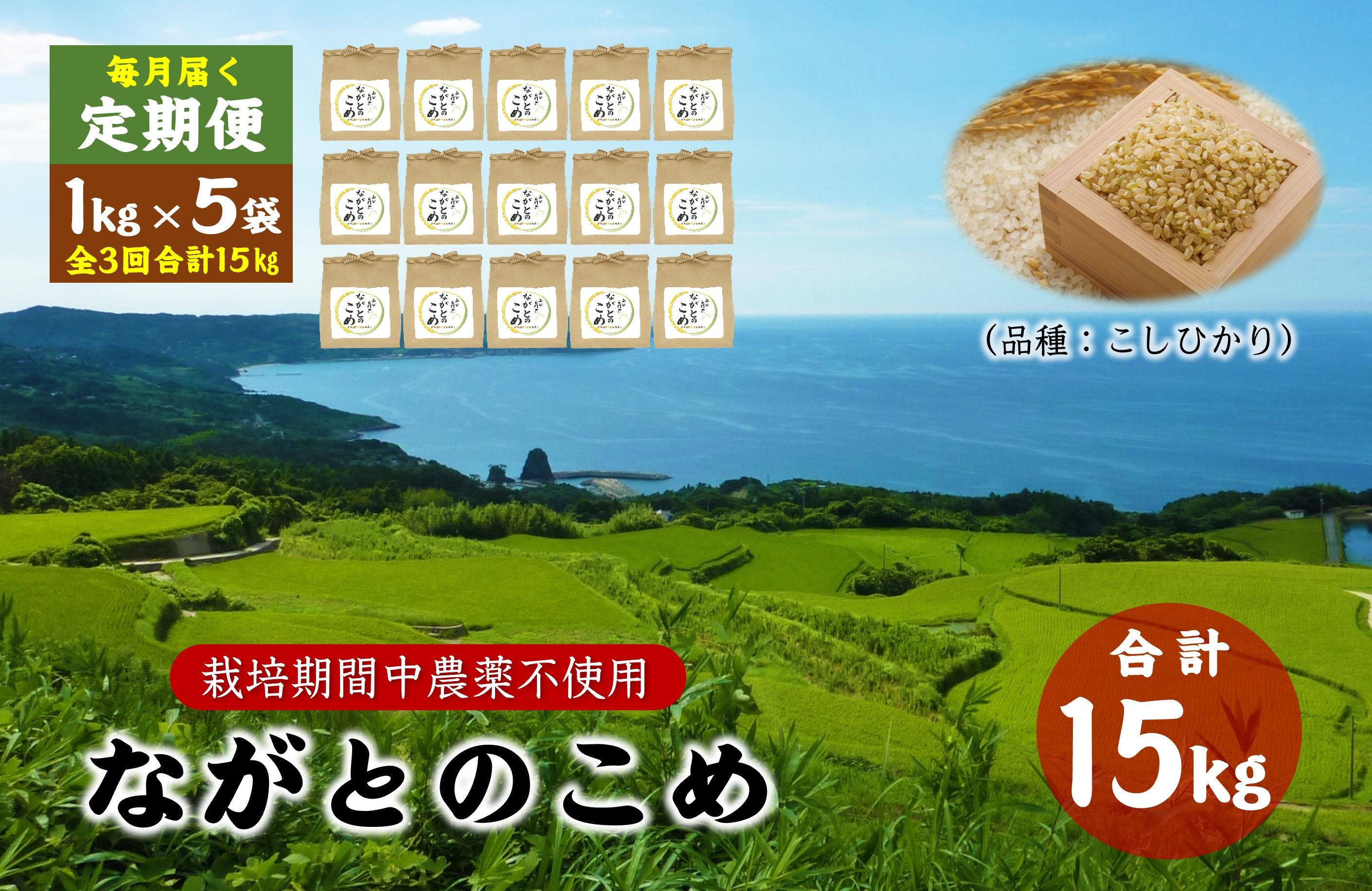 
定期便 ながとのこめ こしひかり 玄米 1kg×5袋 毎月 全3回 合計15kg コシヒカリ 長門市 令和6年度産
