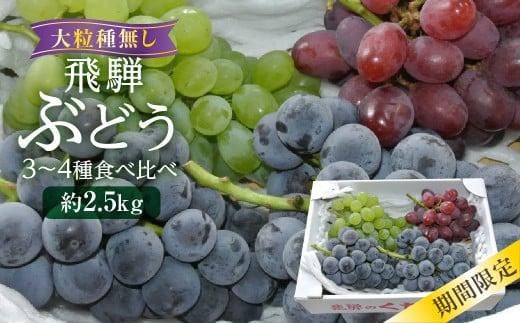 
            【数量限定/先行予約】山本果樹園 季節の大粒種無しぶどう 詰め合わせ 約2.5kg（4房～5房）| 9月中旬～順次発送 果物 フルーツ おいしい ぶどう 種なし 飛騨高山 山本果樹園 MA014
          
