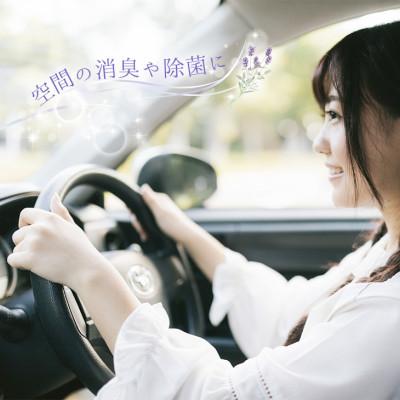 ふるさと納税 守谷市 芳香蒸留水80mlの3本セット(真正ラベンダー、ローズマリー、レモンバーム)|アロマスプレー |  | 01