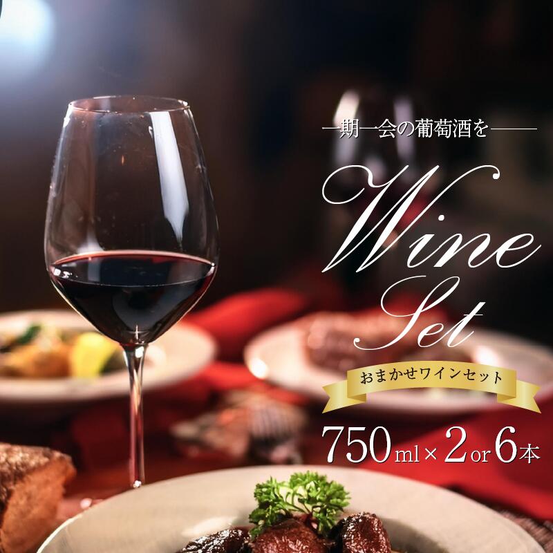 【ふるさと納税】 【 醸造所 直送 】国産 ワイン こだわり 750ml 2本 セット 定期便 3回 4月 7月 12月 発送 Natan ナタン 葡萄酒 醸造所 直送 酒 国産ワイン 国産 プレゼント 贈答用 ギフト 記念 グルメ 送料無料 徳島県 三好市 みよし NATAN