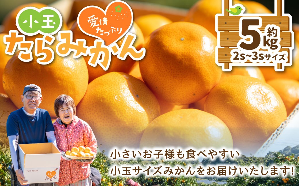 
                  愛情たっぷりたらみかん（小玉）5kg　みかん ミカン 蜜柑 たらみかん 太良みかん 温州みかん 完熟みかん 甘熟 柑橘 国産 佐賀県産 太良町 こだわり 有機栽培 産地直送 贈答品 詰め合わせ 極甘 小玉 L126x1 【2026年11月上旬-12月下旬発送予定】
                
