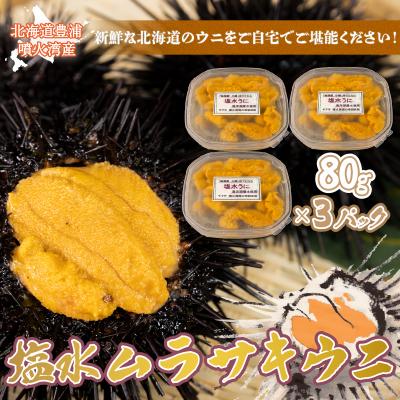 ふるさと納税 豊浦町 先行受付 うに 塩水ムラサキウニ 80g×3 北海道豊浦 噴火湾【配送不可地域:離島】TYUR022