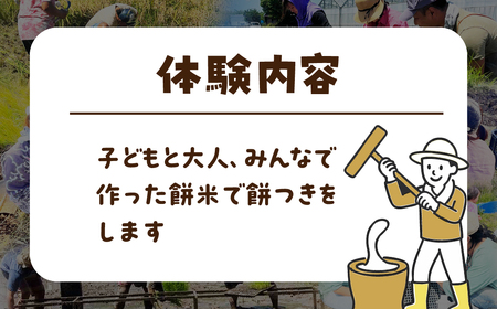 餅つき体験 餅つき もち 餅 米作り 手作業 無農薬 体験 お米 米 親子 イベント 自然 自然体験