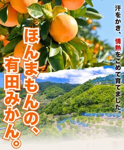 【2024年12月発送予約分】【農家直送】こだわりの有田みかん 約8kg＋240g(傷み補償分)【ご家庭用】   有機質肥料100% サイズ混合※北海道・沖縄・離島配送不可【12月発送】【nuk100