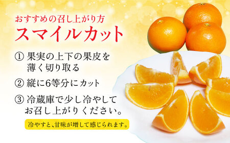 【2027年2月先行予約】【家庭用】天草 約3kg[ECL002] みかん