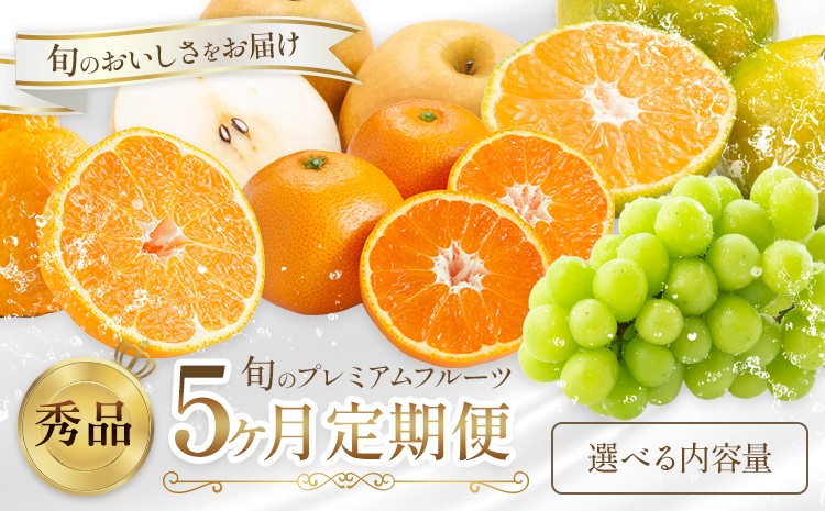 
                  プレミアム フルーツ 定期便 5ヶ月連続 秀品 選べる 内容量 日本フルーツ株式会社《8月上旬-12月末頃出荷》熊本県 荒尾市 シャインマスカット おまかせ 梨 極早生みかん 温州みかん 葉付き不知火 果物 フルーツ スイーツ デザート ギフト ご贈答
                