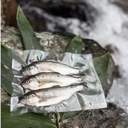 渓流の女王　アマゴ(冷凍12尾入り)【配送不可地域：離島】【1678912】
