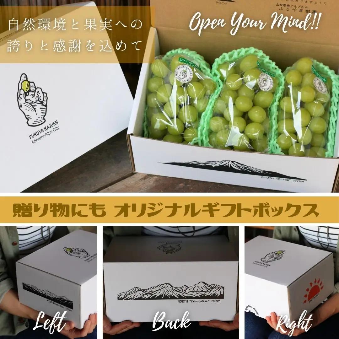 ＜2027年発送先行予約＞ハウス栽培　南アルプス市産シャインマスカット(3房・約1.8kg)真心で育てる大地の宝石！【早期出荷】 ALPDX004