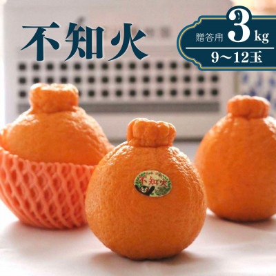 先行予約【雑誌「MORE」掲載品】松川果樹園の不知火3kg(9～12玉程度)デコポン・不知火発祥地産【1371861】