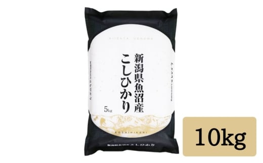 令和7年産 「雪蔵仕込み」 白米 10kg 【湯沢産コシヒカリ】