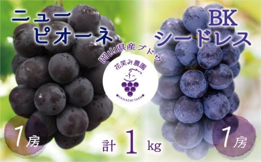 ＜2026年先行受付＞岡山　花笑み農園の『ニューピオーネ&BKシードレス』1kg(2房)PB-1_ニューピオーネ BKシードレス 食べ比べ 1kg 2房 ぶどう フルーツ 果物 送料無料 岡山県 津山市【1627765】