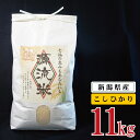 【ふるさと納税】 米 11kg 新潟県産 コシヒカリ 令和5年産 阿賀 上川 源流米 10kg + 1kg × 1袋 | 七福の恵 こしひかり 白米 精米 送料無料 お取り寄せ お米